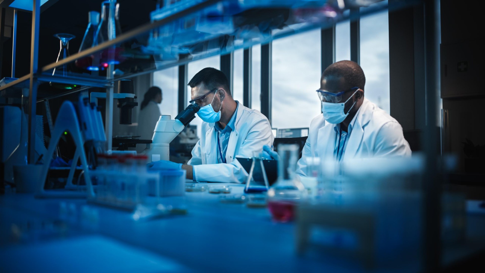 Scientists working in laboratory